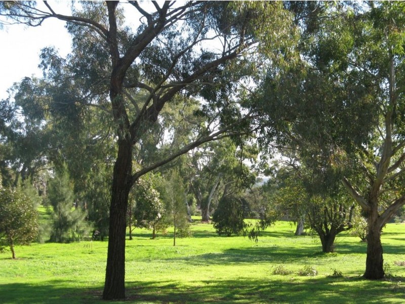 11 Huihui Drive, Happy Valley SA 5159