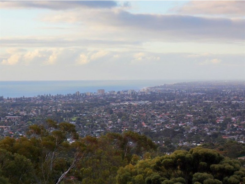 8 Gulfview Road, Seaview Downs SA 5049