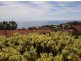 15 Madeline Crescent, Hallett Cove SA 5158