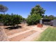 3 Coulter Avenue, Black Forest SA 5035