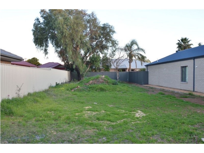 17A Quandong Street, North Brighton SA 5048