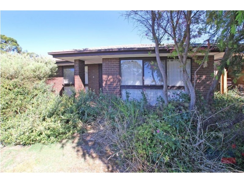 50 Balee Avenue, Sheidow Park SA 5158