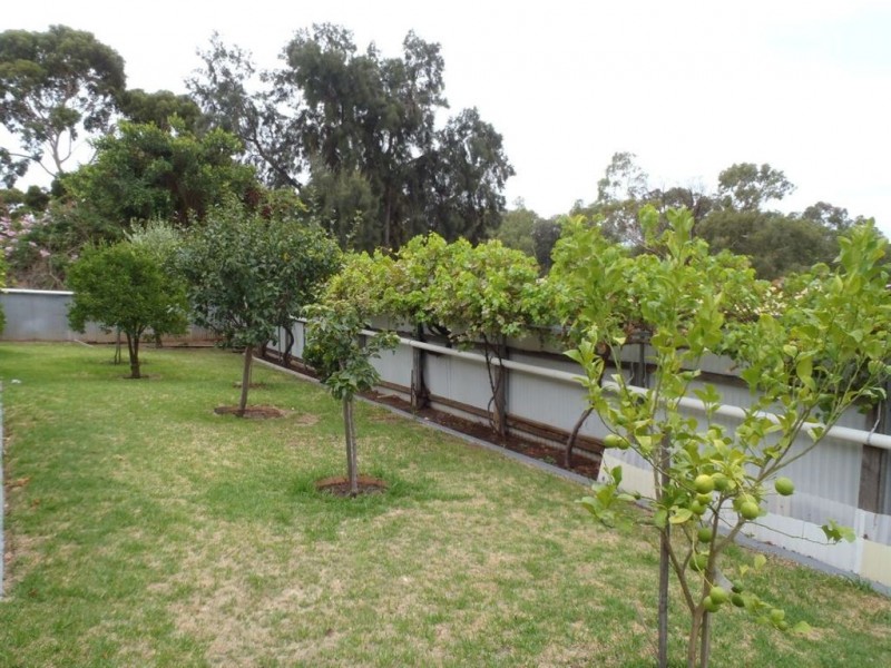 15 Oswin Court, Morphett Vale SA 5162