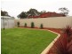 50 Balee Avenue, Sheidow Park SA 5158