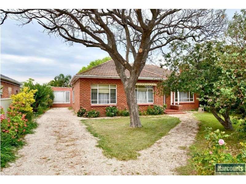 35 Daly Street, Kurralta Park SA 5037