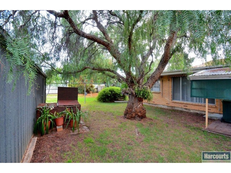 17 Shearer Avenue, Seacombe Gardens SA 5047