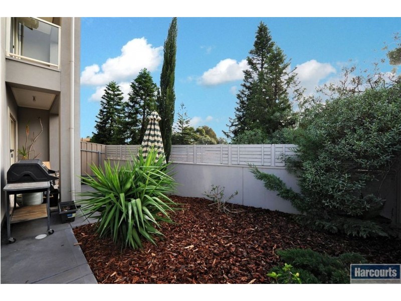 3A Leak Avenue, Glenelg North SA 5045