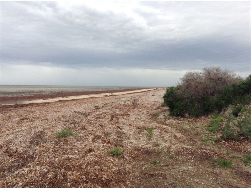 63 The Esplanade, Thompson Beach SA 5501