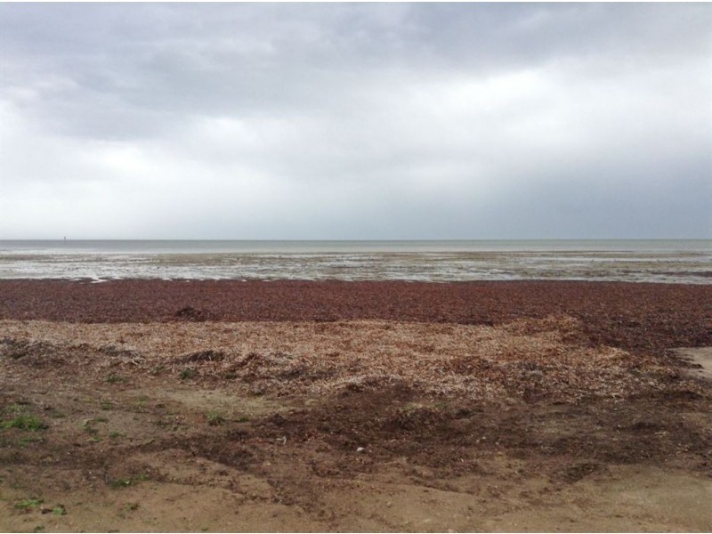 63 The Esplanade, Thompson Beach SA 5501