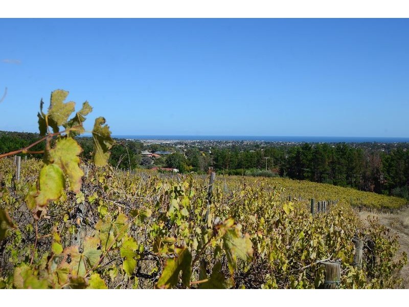 75 Kimbley Road, Onkaparinga Hills SA 5163