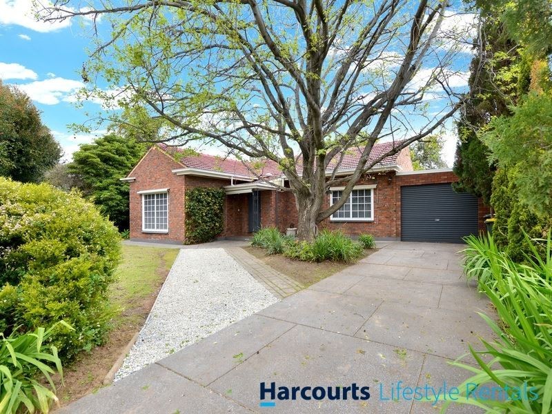 16 Roberts Street, Brighton SA 5048