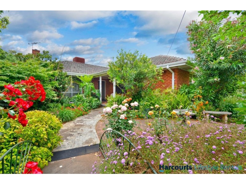 25 Hallett Avenue, Tranmere SA 5073