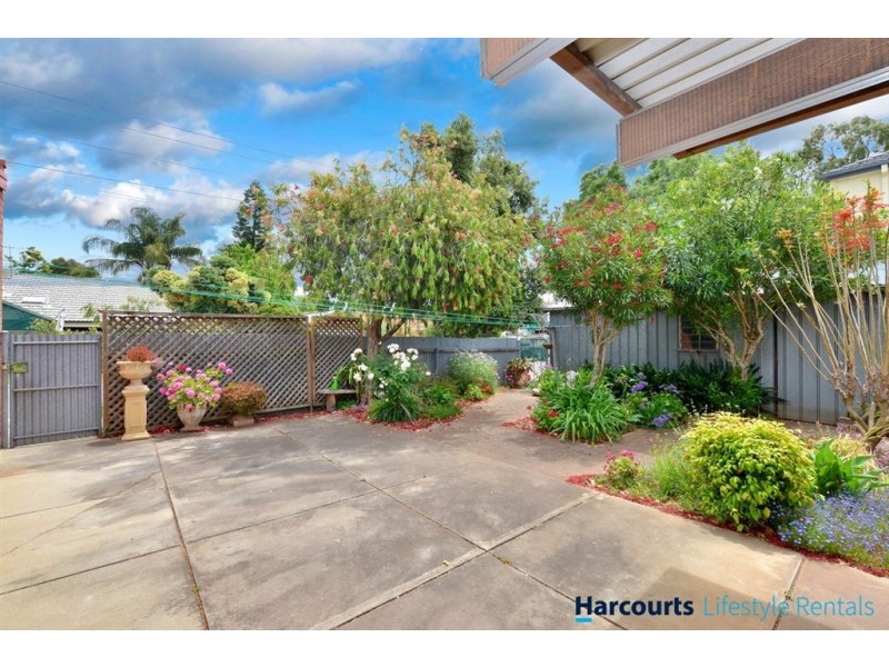 25 Hallett Avenue, Tranmere SA 5073