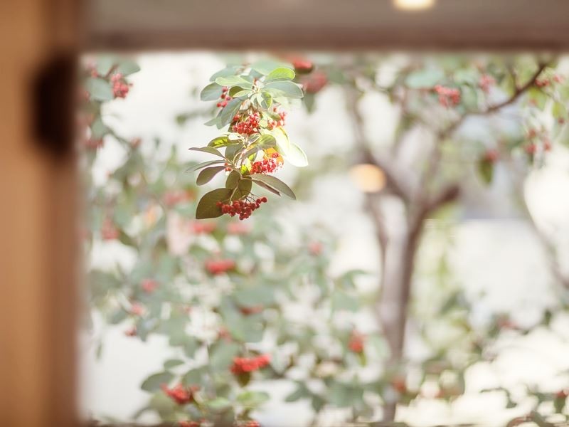 48 Northam Drive, North Rocks NSW 2151