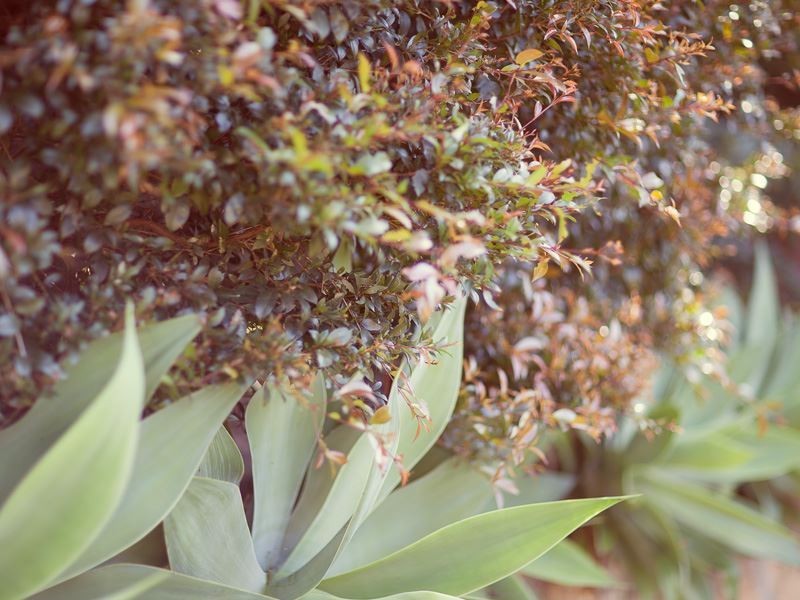 510 Windsor Road, Baulkham Hills NSW 2153