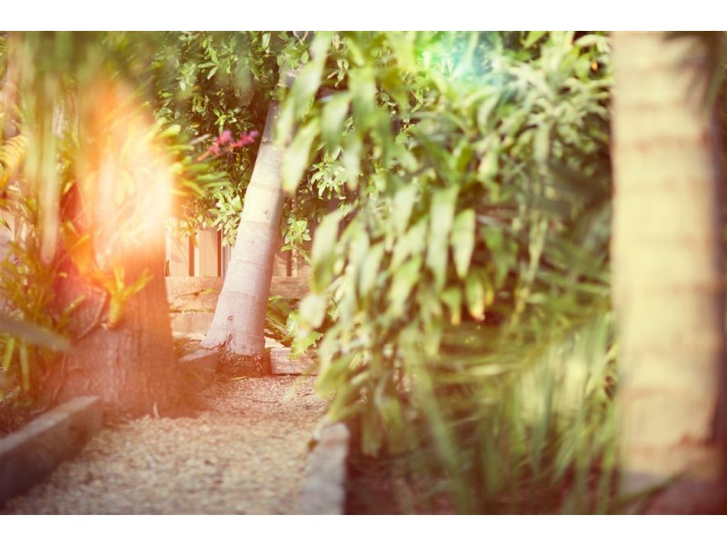 41 Woodlands Street, Baulkham Hills NSW 2153