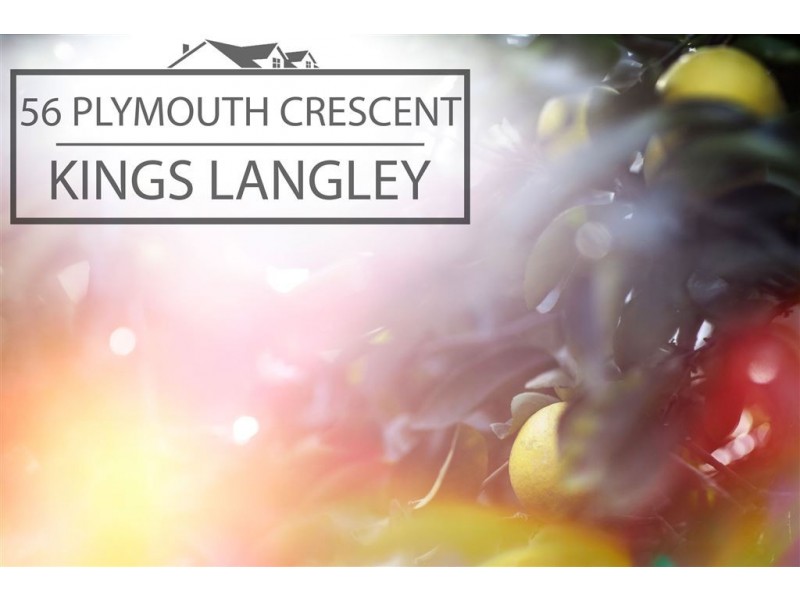 56 Plymouth Crescent, Kings Langley NSW 2147