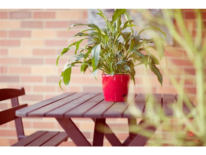 46 Hilary Street, Winston Hills NSW 2153