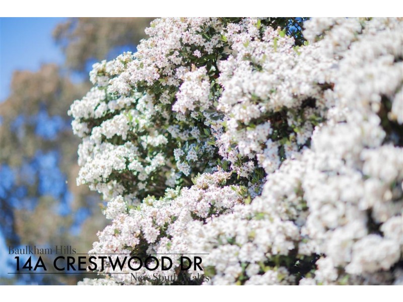 14a Crestwood Drive, Baulkham Hills NSW 2153