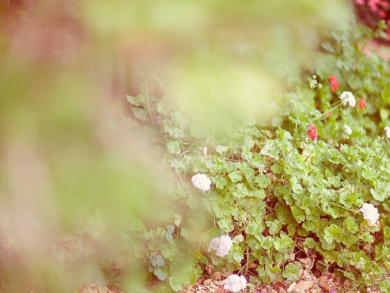 24 Yetholme Avenue, Baulkham Hills NSW 2153