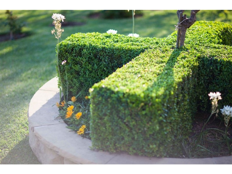 1 William Thompson Way, Baulkham Hills NSW 2153