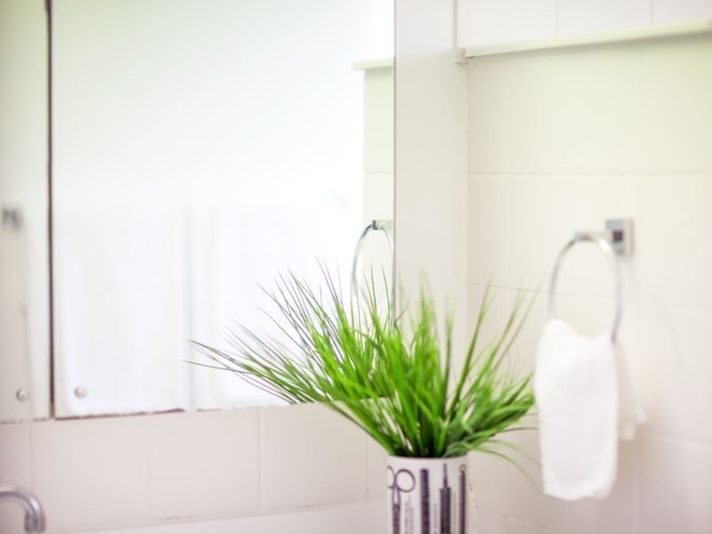 38 Chircan Street, Old Toongabbie NSW 2146