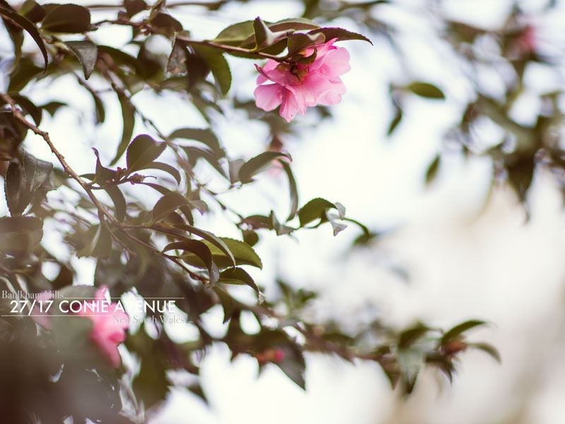 27/17 Conie Avenue, Baulkham Hills NSW 2153