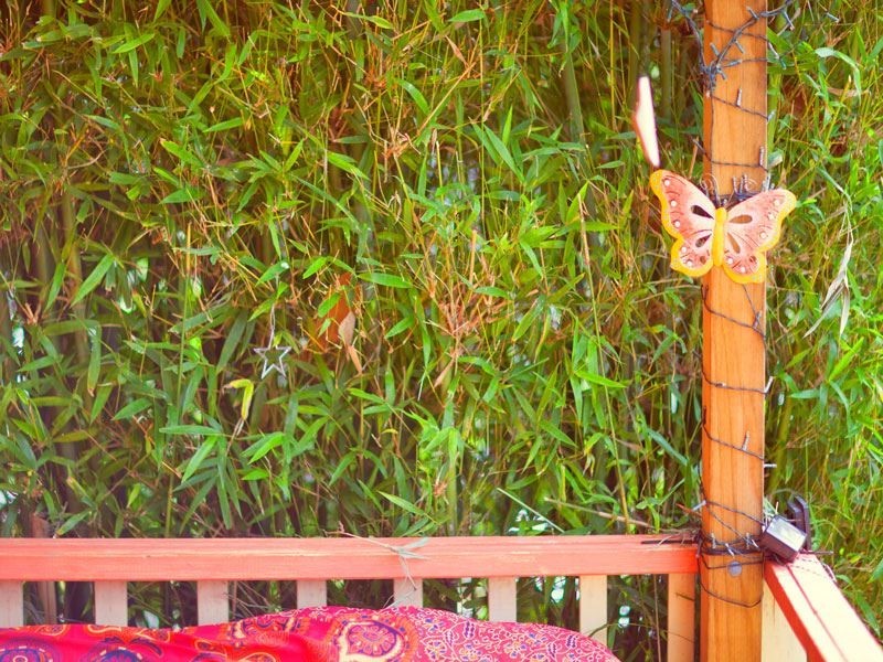 51 North Rocks Road, North Rocks NSW 2151