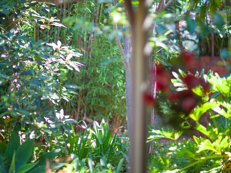 10 Hughes Street, Kings Langley NSW 2147