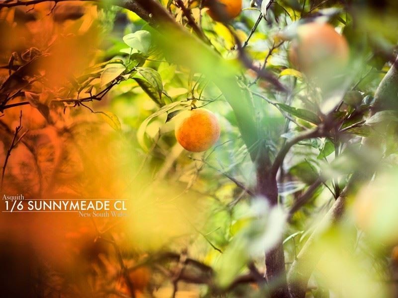 1/6 Sunnymeade Close, Asquith NSW 2077