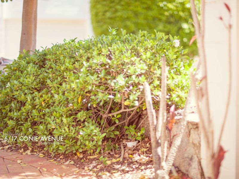 6/17 Conie Avenue, Baulkham Hills NSW 2153