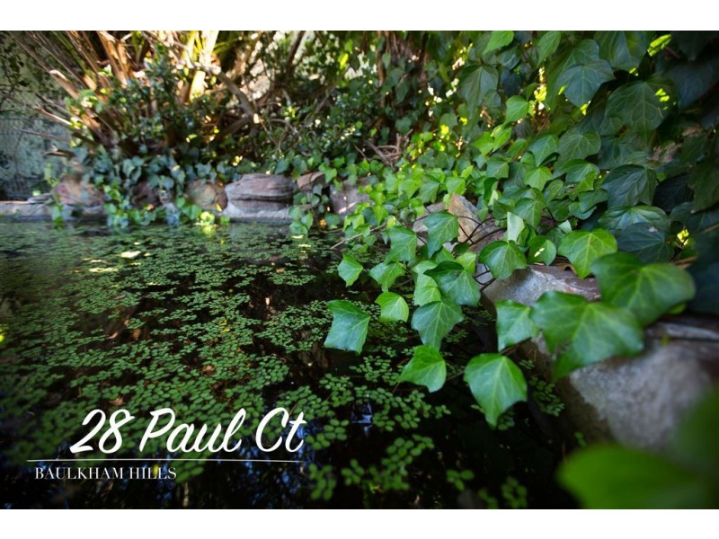 28 Paul Court, Baulkham Hills NSW 2153