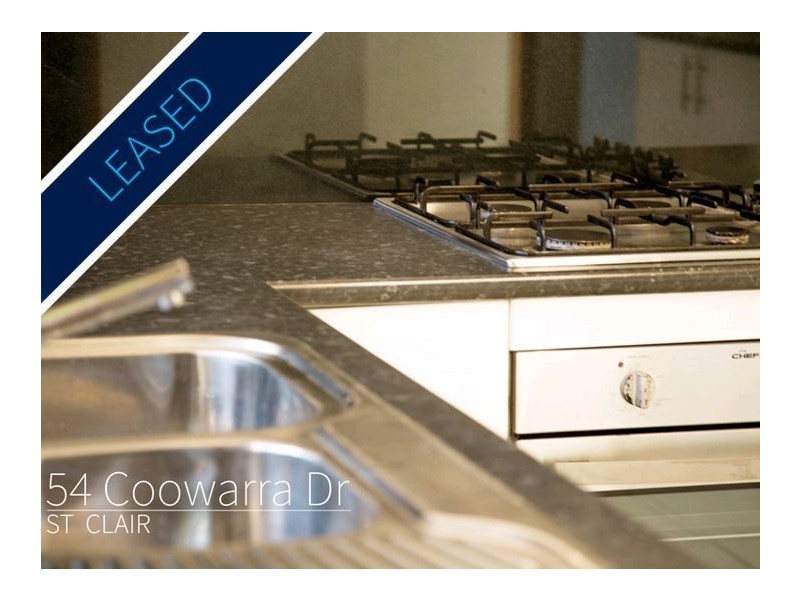 54 Coowarra Drive, St Clair NSW 2759