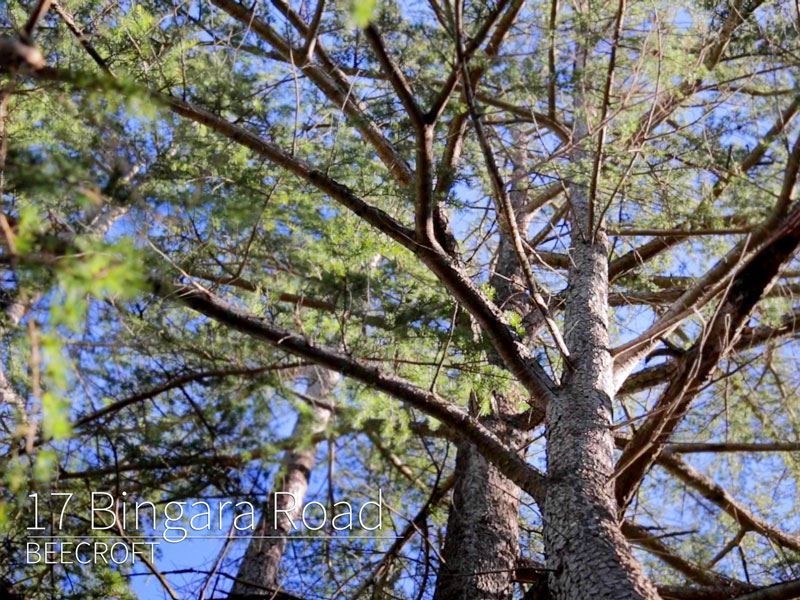 17 Bingara Road, Beecroft NSW 2119