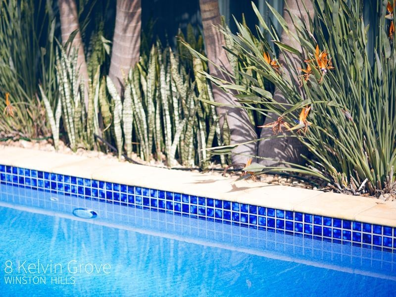 8 Kelvin Grove, Winston Hills NSW 2153