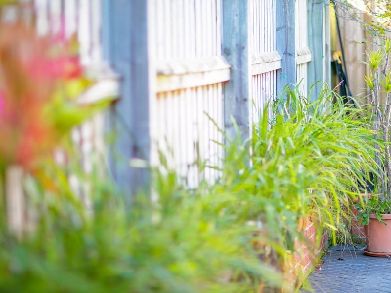 143 Meurants Lane, Glenwood NSW 2768