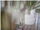 206 James Ruse Drive, Parramatta NSW 2150