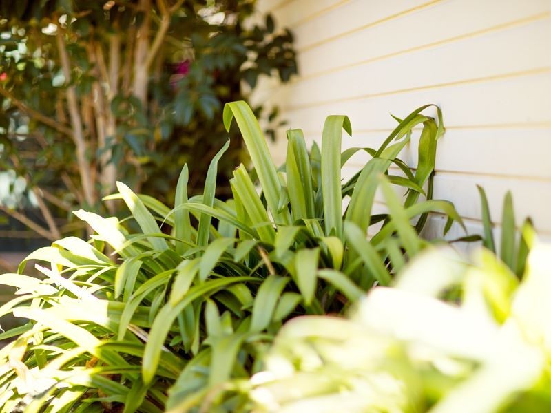 86 Johnson Avenue, Seven Hills NSW 2147