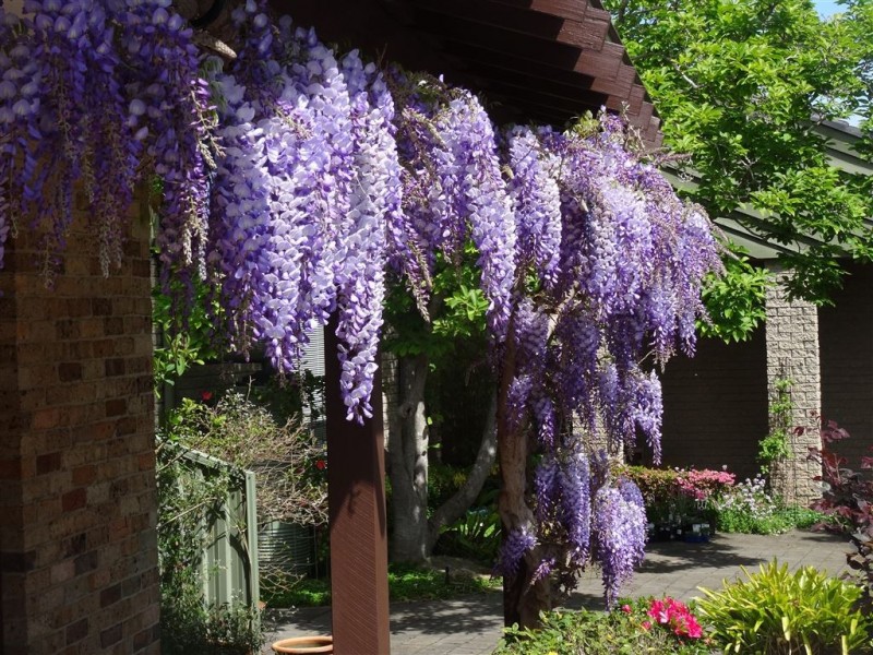 52 Merindah Road, Baulkham Hills NSW 2153