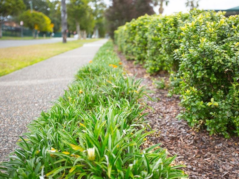 14 Hadrian Avenue, Blacktown NSW 2148