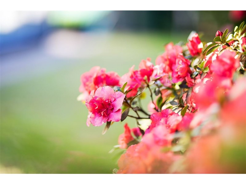 45 Mulgray Avenue, Baulkham Hills NSW 2153