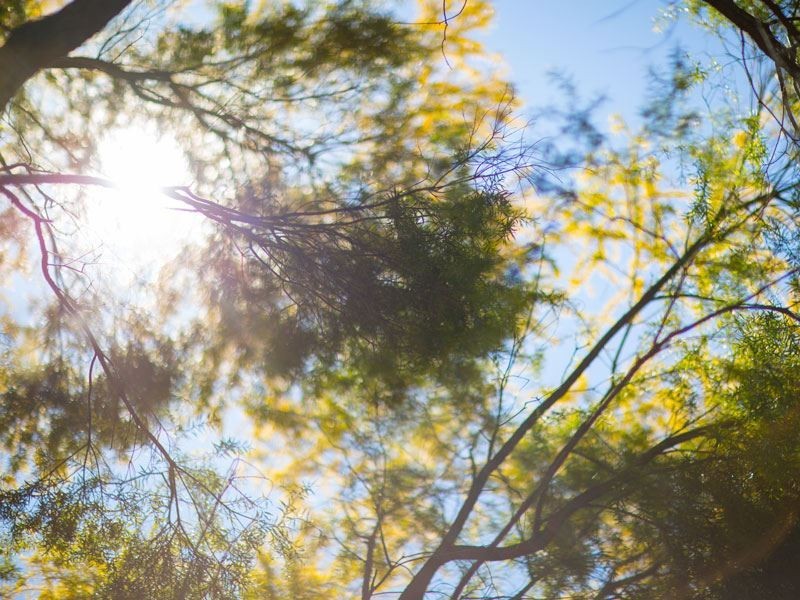 4 Reilleys Road, Winston Hills NSW 2153