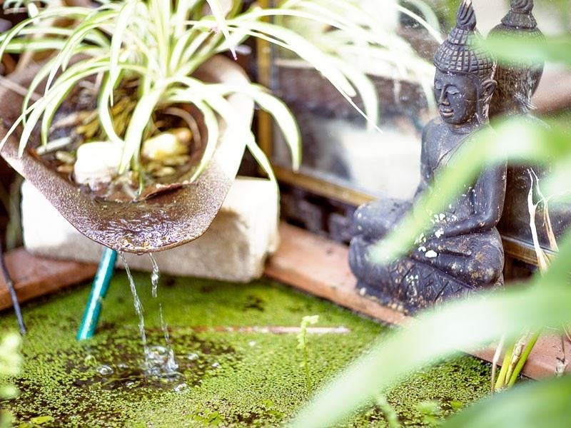 2 Lily Place, Lalor Park NSW 2147