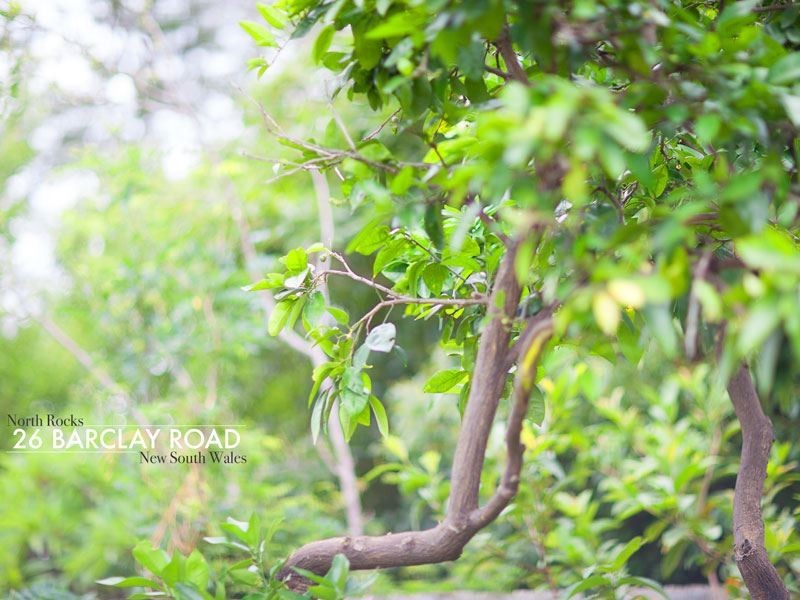 26 Barclay Road, North Rocks NSW 2151