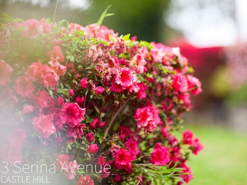 3 Serina Avenue, Castle Hill NSW 2154