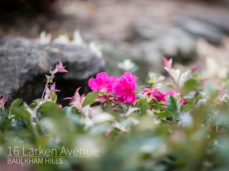 16 Larken Avenue, Baulkham Hills NSW 2153