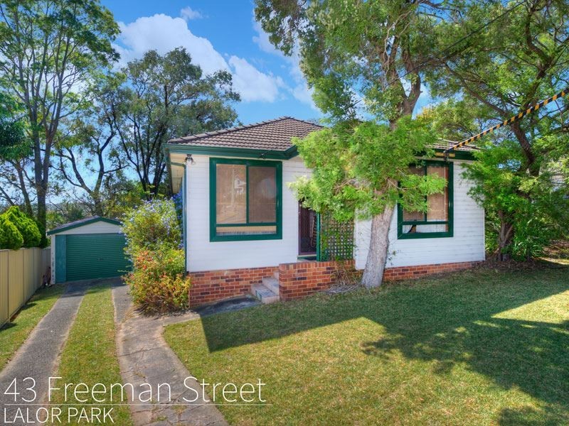 43 Freeman Street, Lalor Park NSW 2147