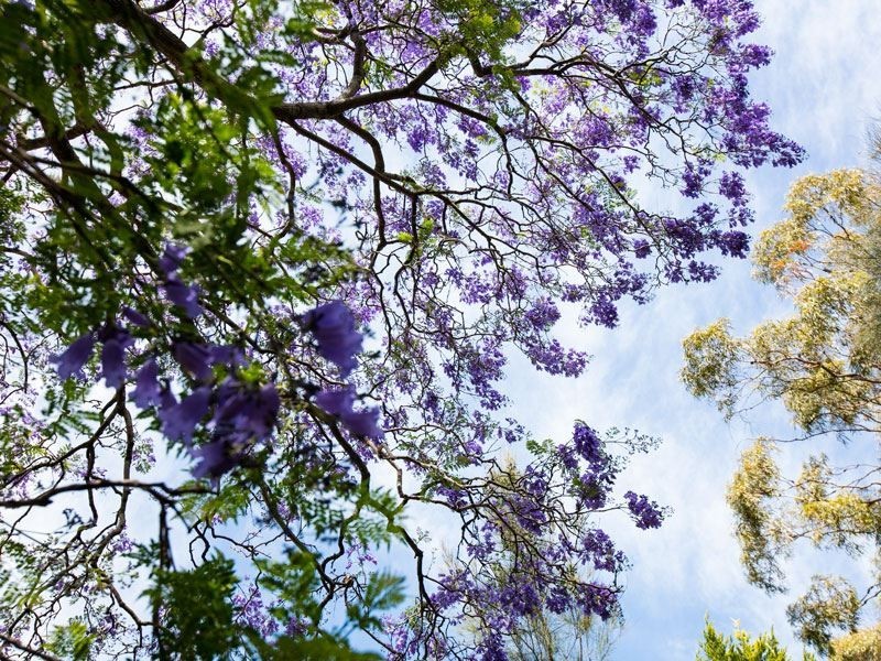 3/12-14 Pennant Hills Road, North Parramatta NSW 2151