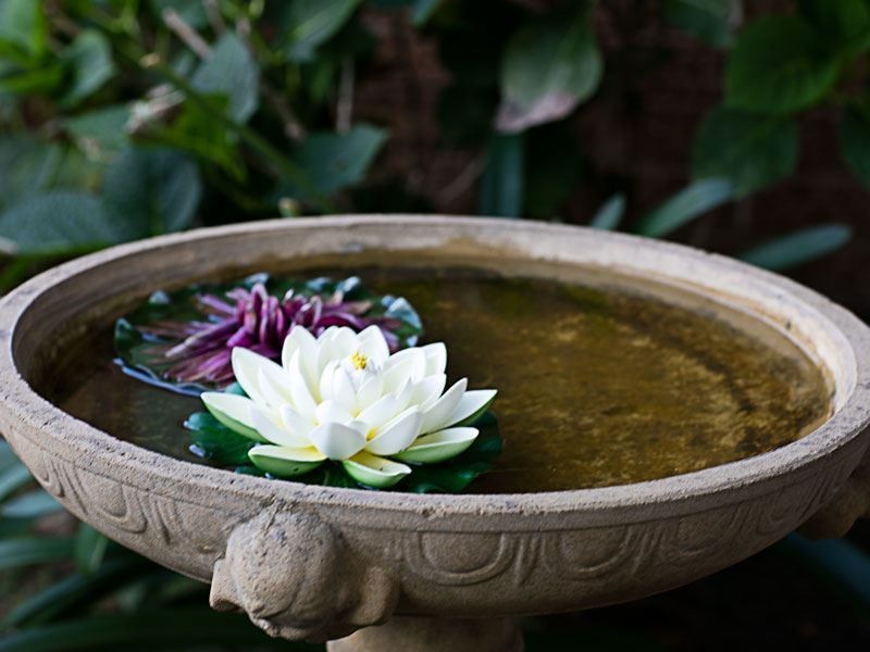 3/7 Chapel Lane, Baulkham Hills NSW 2153