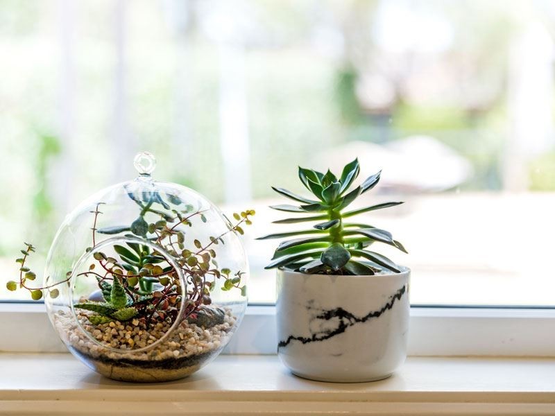 97 Bingara Cres, Bella Vista NSW 2153